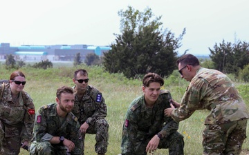 U.S. and NATO military medical units undergo classroom and field training as part of the Joint Emergency Medicine Exercise JMEX