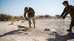 379th ECES enhances host nation relations through sand fox relocation effort