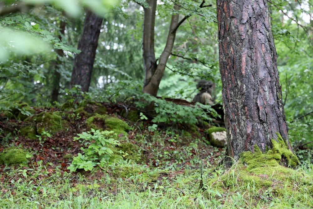 Sea of green: Ready and postured