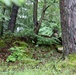 Sea of green: Ready and postured