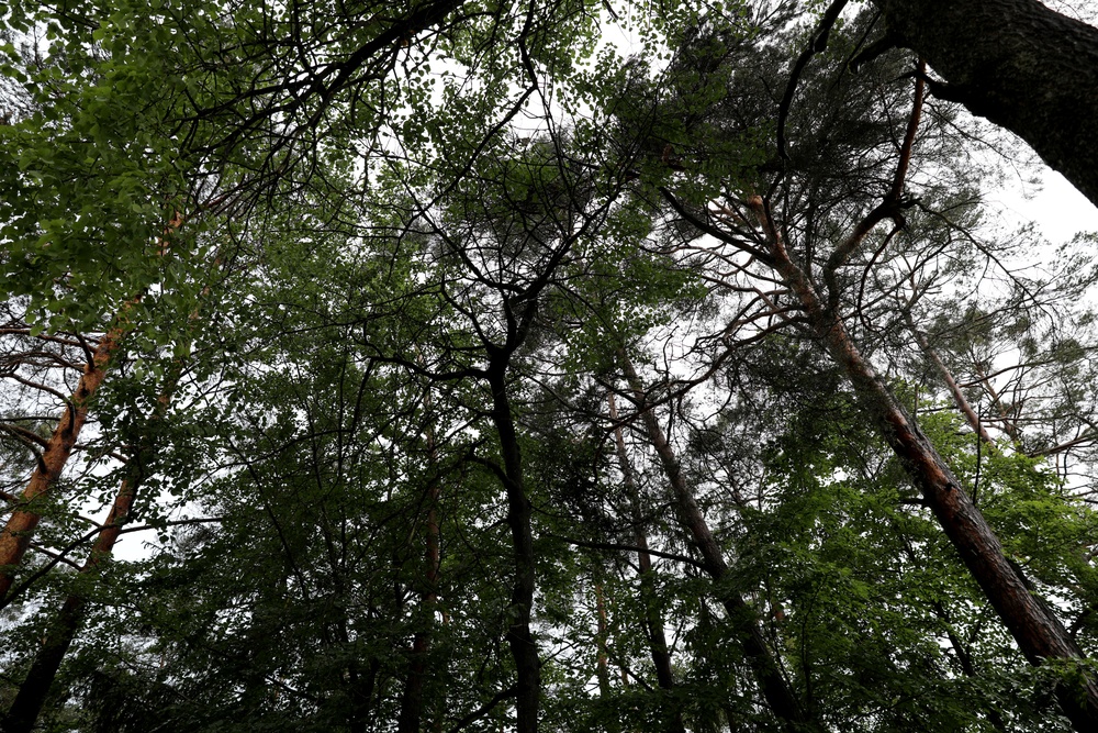 Sea of green: Ready and postured