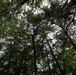 Sea of green: Ready and postured