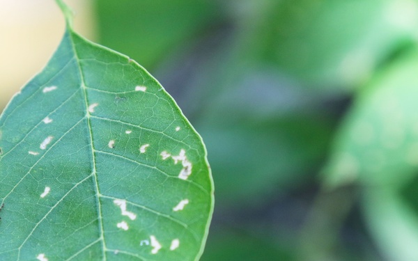 Tick talk: essential tips for preventing tick-borne illnesses