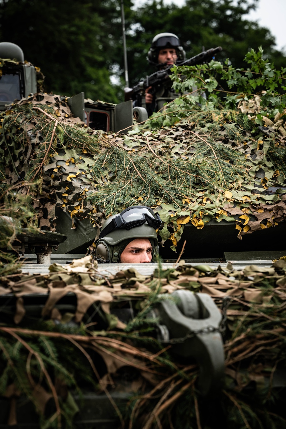 Watching from the Hatch