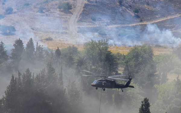 International Combined Joint Live-Fire Exercise