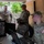CSO Visits DEL 7 at Peterson SFB