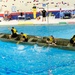 Arctic Angel Rendezvous Week Canoe Tug of War Competition