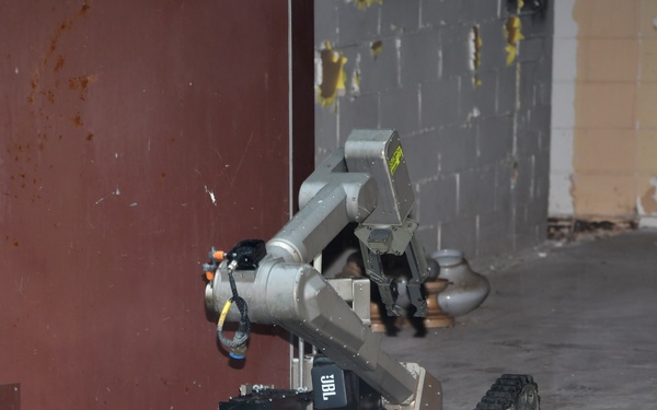 Audacious Warrior provides joint training opportunities