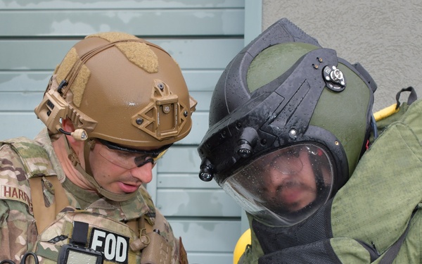 Audacious Warrior provides joint training opportunities