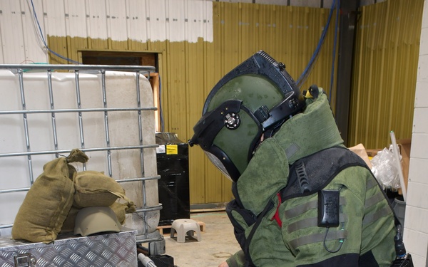 Audacious Warrior provides joint training opportunities