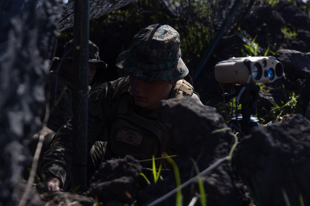 3/12 Forward Observers Call for Fire during ARTP 24.1