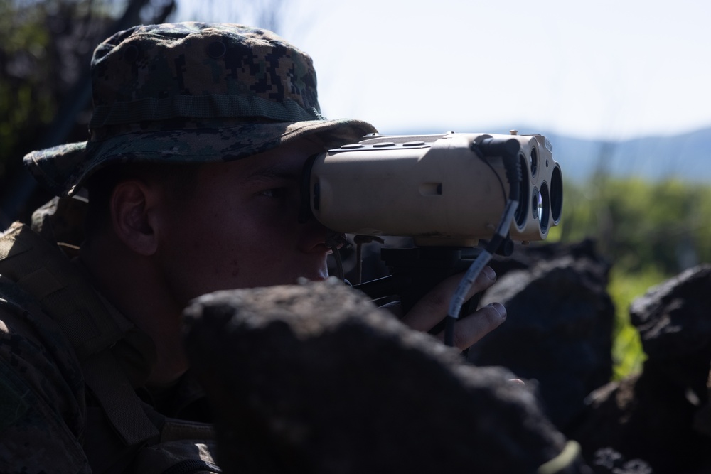  3/12 Forward Observers Call for Fire during ARTP 24.1