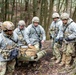 Army Mountain Warfare School winter training