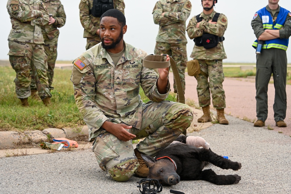 Caduceus Spear: Airmen and Soldiers come together to train with the 97th MDG