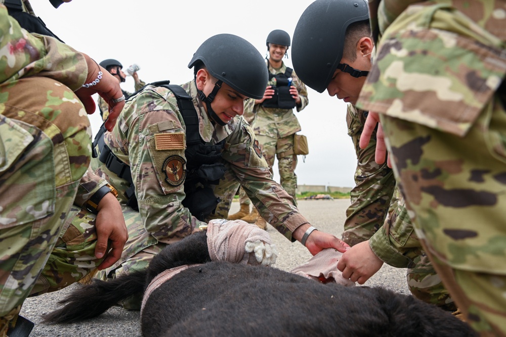 Caduceus Spear: Airmen and Soldiers come together to train with the 97th MDG