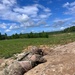 Squad live fire