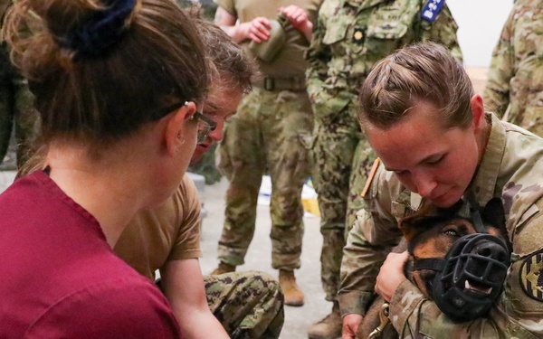 JEMX 2024 Day Two Military Working Dog