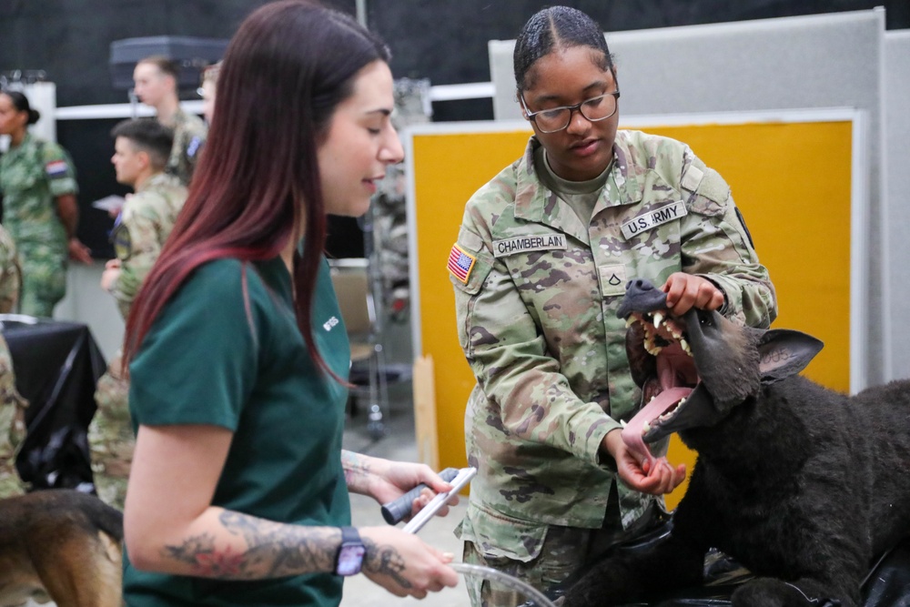 JEMX 2024 Day Two Military Working Dog