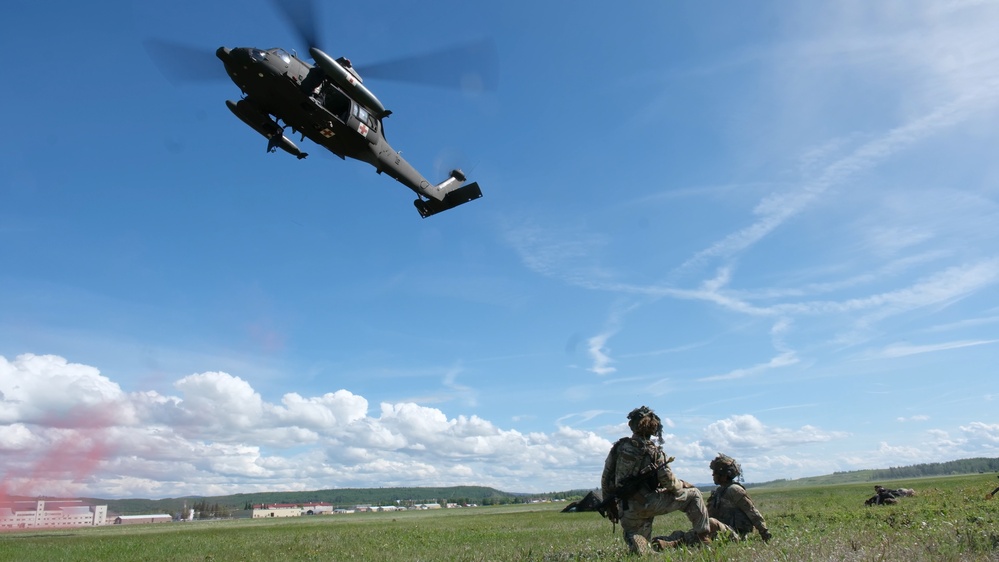 Arctic Angel Rendezvous Week: Air Assault