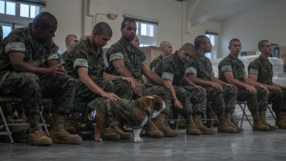 Mascot Monday – Bruno Visits Hotel Company Recruits