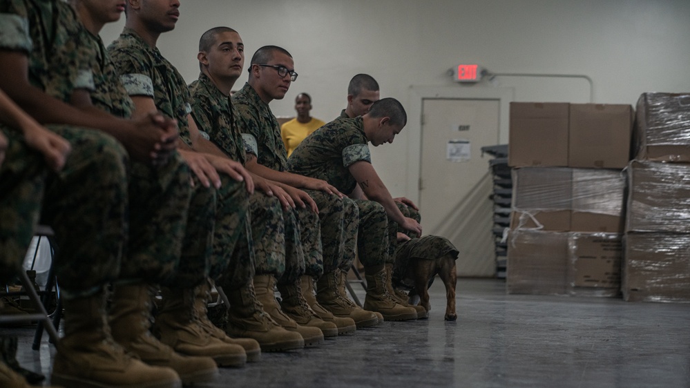 Mascot Monday – Bruno Visits Hotel Company Recruits
