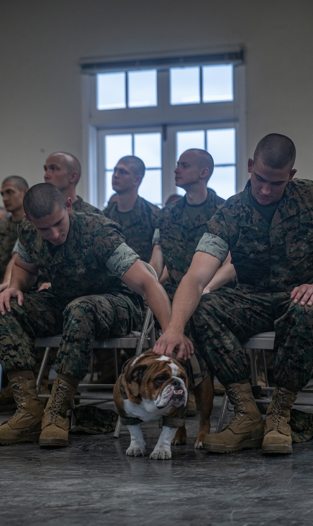 Mascot Monday – Bruno Visits Hotel Company Recruits