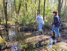 Regulatory Division preserving Mobile District’s water resources