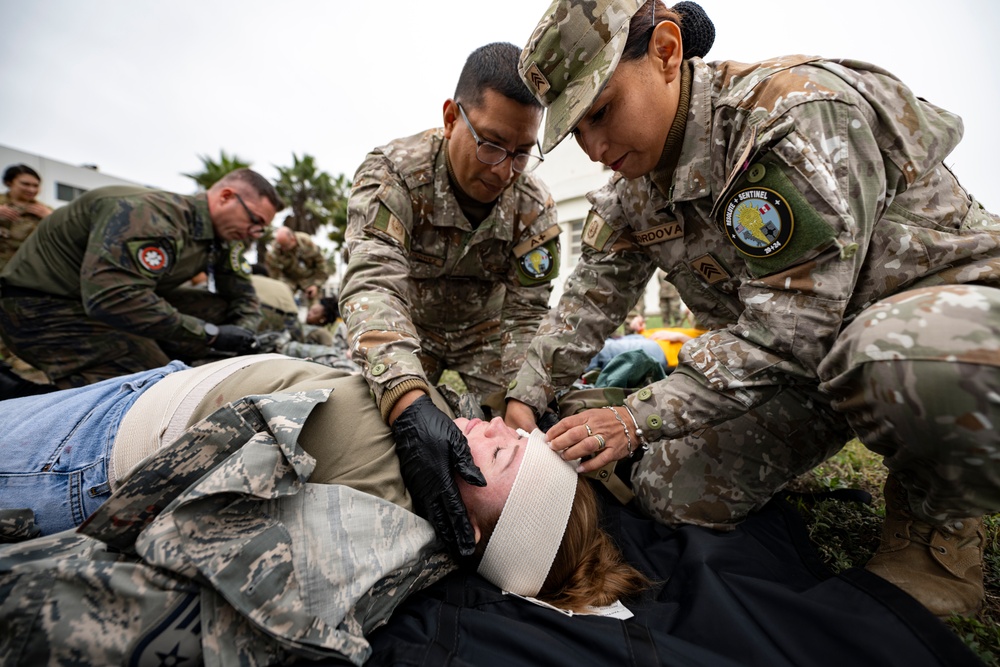 Peru, Brazil, US collaborate on TCCC training