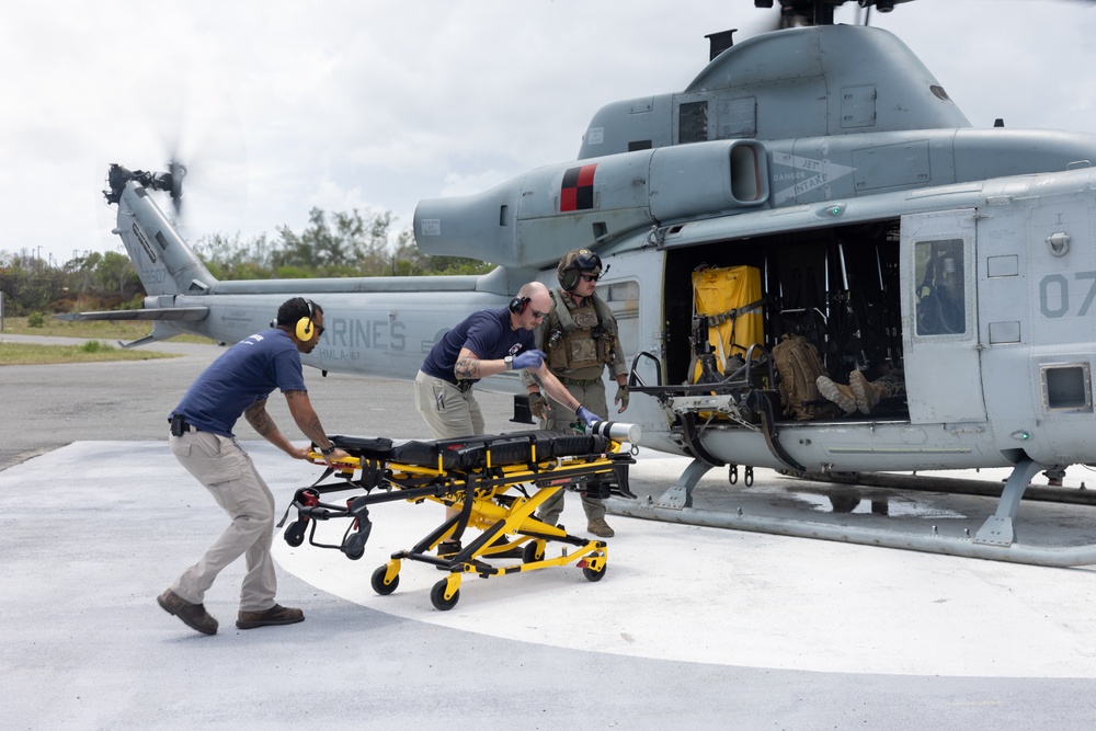 U.S. Marines and Sailors conduct simulated casualty evacuation operations during Distributed Aviation Operations Exercise 24