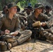 Battalion Landing Team 1/4 conducts jungle warfare training