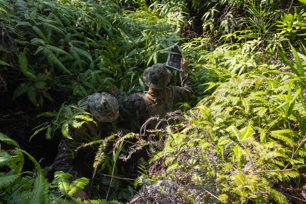 Battalion Landing Team 1/4 conducts jungle warfare training