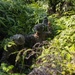 Battalion Landing Team 1/4 conducts jungle warfare training