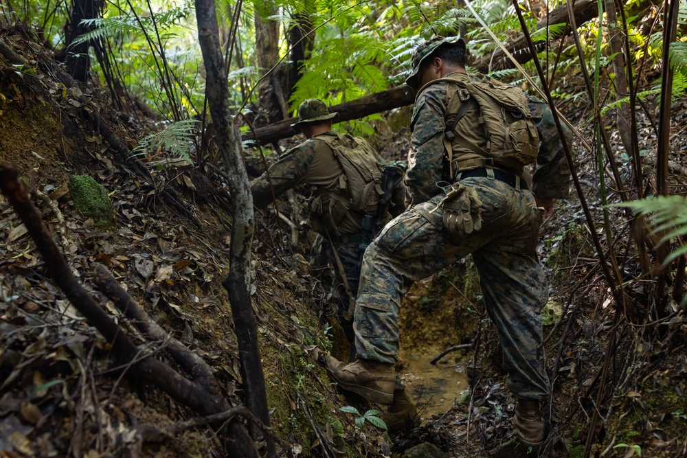 Battalion Landing Team 1/4 conducts jungle warfare training