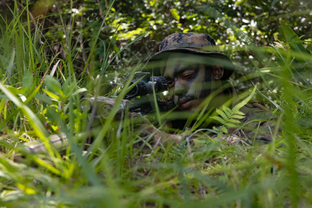 Battalion Landing Team 1/4 conducts jungle warfare training