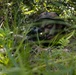 Battalion Landing Team 1/4 conducts jungle warfare training