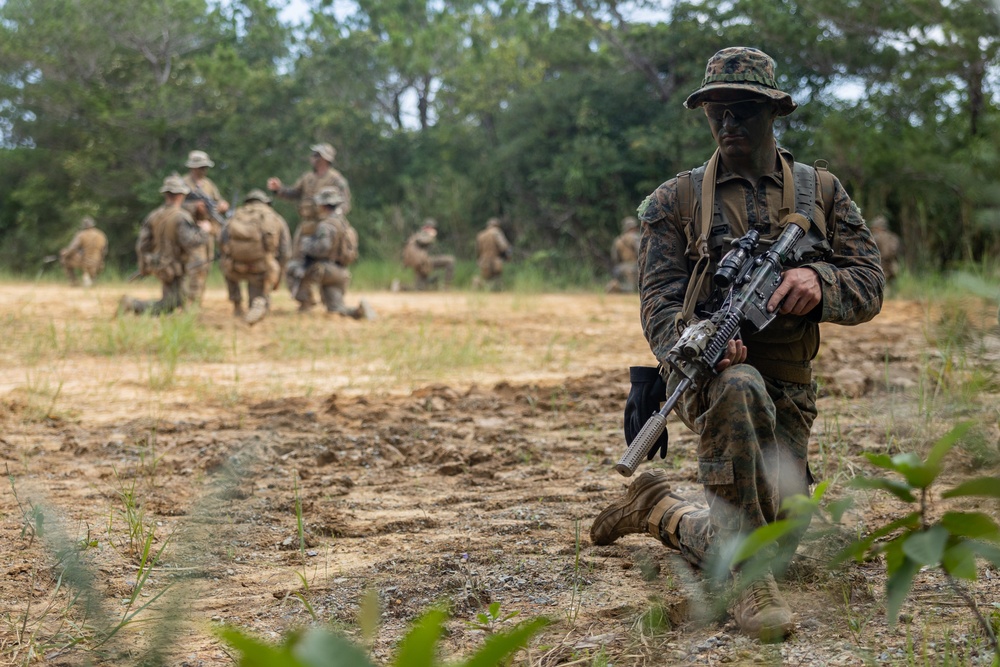 Battalion Landing Team 1/4 conducts jungle warfare training