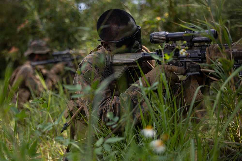 Battalion Landing Team 1/4 conducts jungle warfare training