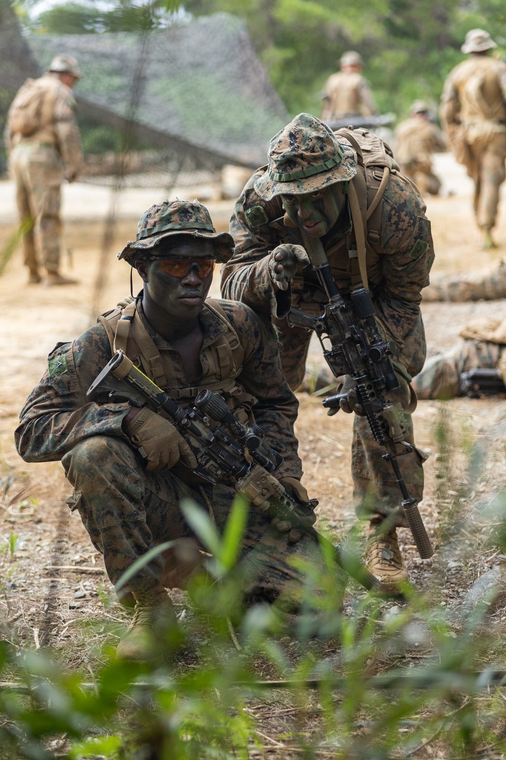 Battalion Landing Team 1/4 conducts jungle warfare training