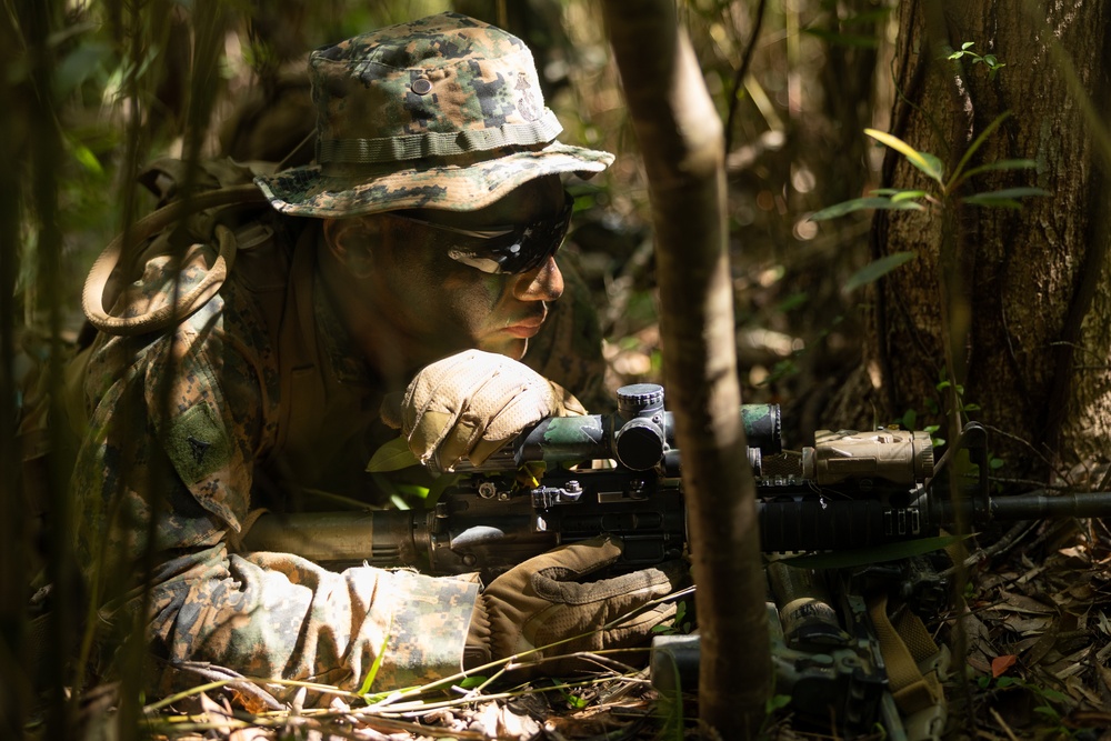 Battalion Landing Team 1/4 conducts jungle warfare training