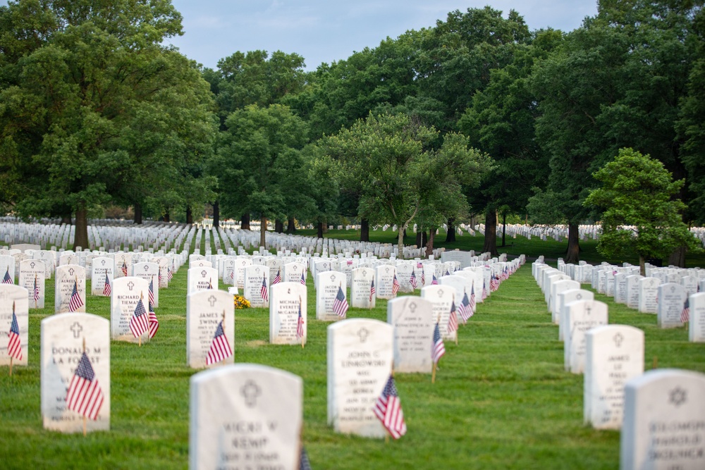 &quot;Flags In&quot; 2024