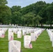 &quot;Flags In&quot; 2024