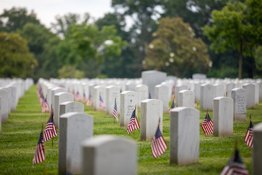 &quot;Flags In&quot; 2024