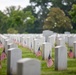 &quot;Flags In&quot; 2024
