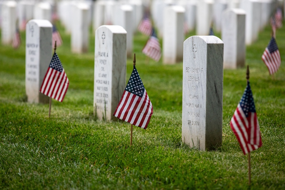 &quot;Flags In&quot; 2024