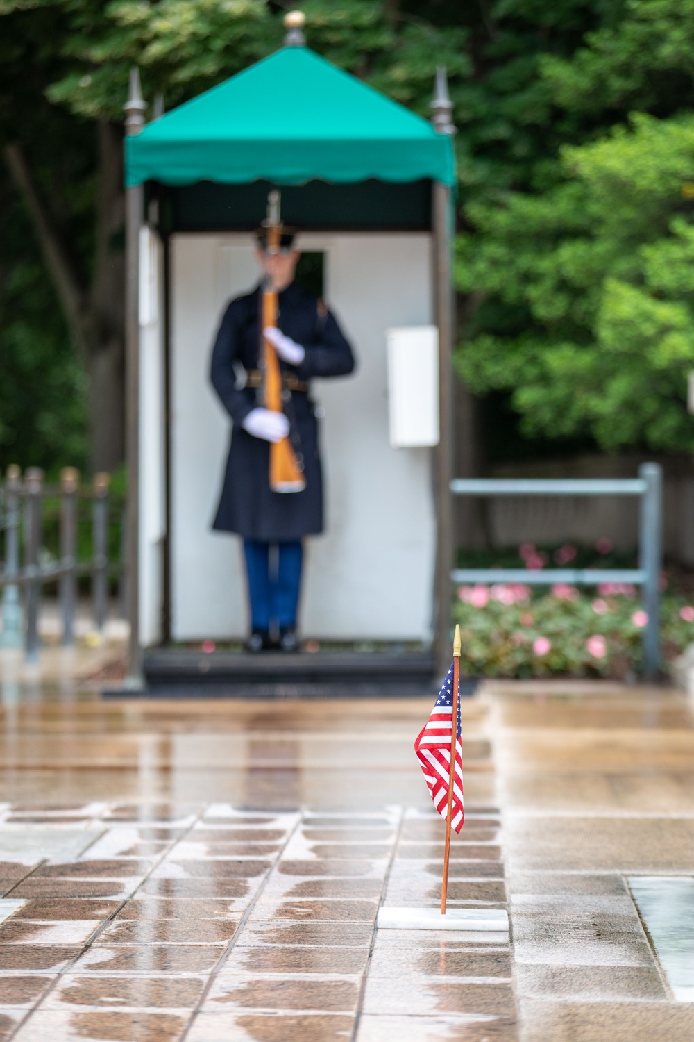Tomb Sentinel Places Flags at the Tomb of the Unknown Soldier