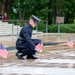 Tomb Sentinel Places Flags at the Tomb of the Unknown Soldier