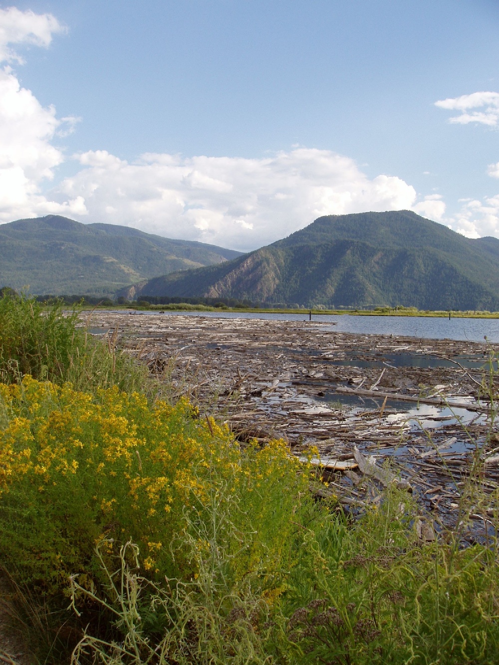 Albeni Falls Dam