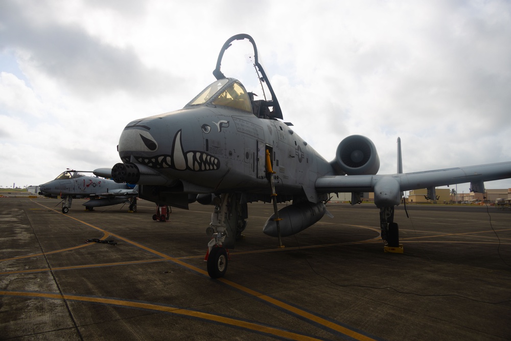 Sentry Aloha 24-2 A-10