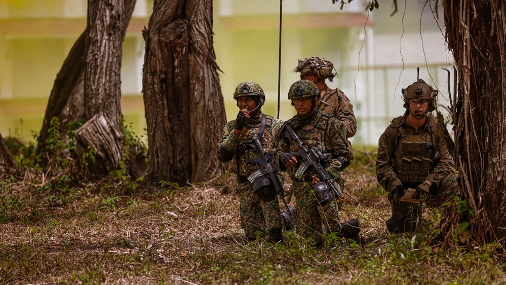 Tiger Strike 24: 15th MEU, 9th Battalion Combined Amphibious Assault Rehearsal Tiger Strike 24: 15th MEU, 9th Battalion Combined Amphibious Assault Rehearsal
