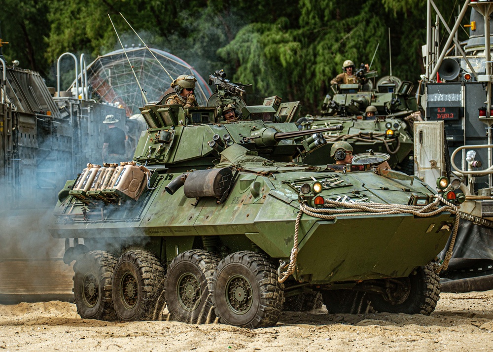 Tiger Strike 24: 15th MEU, 9th Battalion Combined Amphibious Assault Rehearsal Tiger Strike 24: 15th MEU, 9th Battalion Combined Amphibious Assault Rehearsal